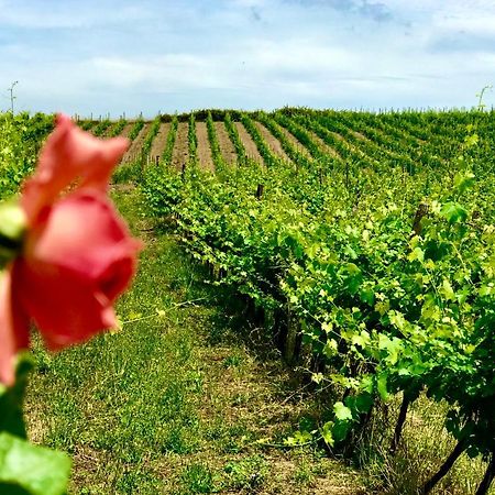 مبيت وإفطار Olgiata Borgo Del Gelso المظهر الخارجي الصورة